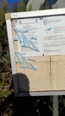 Foto: Schmiererei am Schaukasten der Volkssolidarität, Ortsgruppe Brieselang 